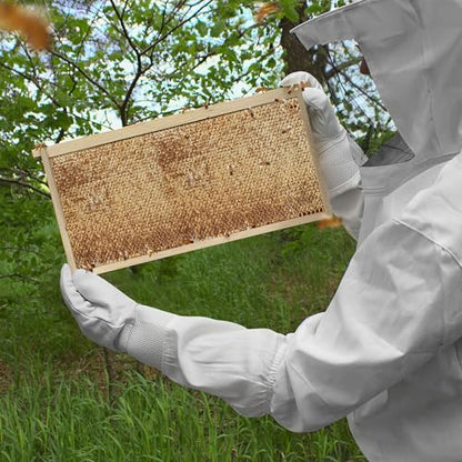 Honey Keeper 100% Beeswax Beehive 10 Frame Kit Super Box and 10 Deep Frames with Foundations for Langstroth Beekeeping - style: 100% beeswaxed