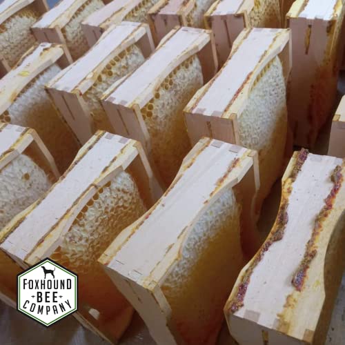 Foxhound Bee Co - Comb Honey Cassette for Making Pure Cut Comb Honey, Compatible with Medium Langstroth Frames - 40 Cassettes