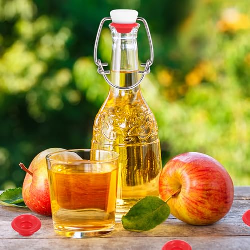 PRETYZOOM 12 Pack Swing Bottle Gaskets 0.98 in Replacement Seal Washers for Beer and Soda Bottles Home Brew Bottle Gaskets for Fermentation and Leak Proof Sealing