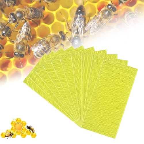 Beehive Wax Coated Foundation Sheet Beehive Foundation Sheet,Beeswax-Coated Foundation Sheets Made of Plastic,Black Beehive Beeswax Coated Foundation Sheet,for Deep Bee Frame (Green,10Pcs) - color: Green, size: 10Pcs
