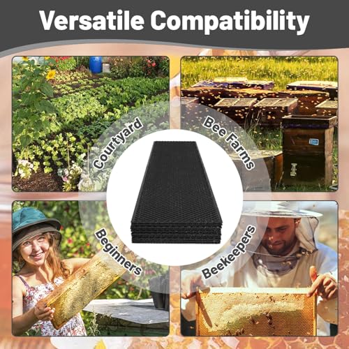 Bee Foundation Sheets for Bee Frames Beehive Beeswax Coated Foundation Sheets Beehive Foundation Sheets Medium Bee Hive Frame Foundation Sheets Waxed Foundation for Beehive Medium Frames 10 Pcs - size: Medium