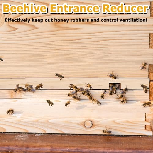 DECYOOL 4 Pieces Beehive Entrance Reducer, Wooden Hive Entrance Reducer | 10 Frame Beehive Supplies with 2 Size Openings Control Warm and Ventilated for Keep Out Honey Robbers Beekeeping Supplies
