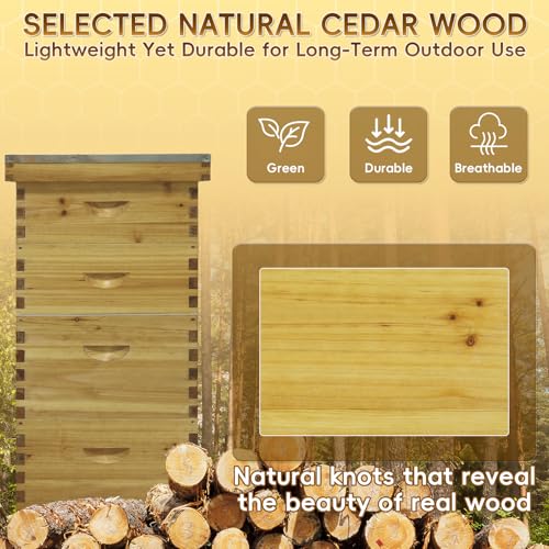 10-Frame Langstroth Beeswax Coated Bee Hive Includes 2 Deep Hive Boxes and 2 Super Bee Boxes with Beehive Frames and Foundations (4 Layer)