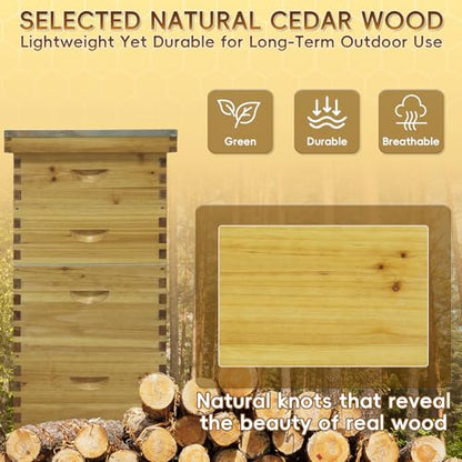 10-Frame Langstroth Beeswax Coated Bee Hive Includes 2 Deep Hive Boxes and 2 Super Bee Boxes with Beehive Frames and Foundations (4 Layer)