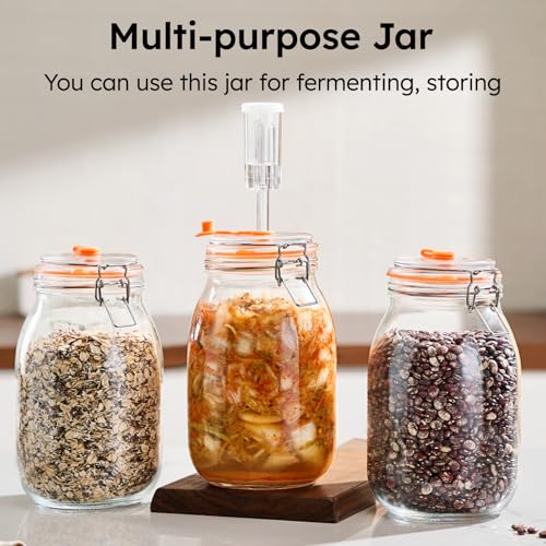JILLMO 1.8 Liters Fermentation Jar, Glass Fermenting Kit with Weight for Making Sauerkraut, Hot Sauce, Mead, Cider and More, Pack of 2