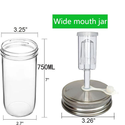 2 set Complete Fermentation Kit 0.73L Fermenting Mason Jars Fermentation Weights & Fermenting Lids for Sauerkraut, Vegetables, and Other Fermented Food(0.73 Liter)