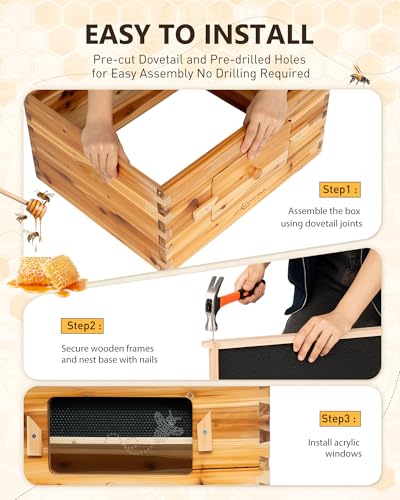 10 Frame Langstroth Bee Hive Kit, 2 Deep & 1 Medium Box | 10-Frame Langstroth Hive with 2 Deep Brood Boxes, 1 Medium Honey Super, 30 Pine Frames and an Observation Window - size: 2Deep+1Madium Bee Box