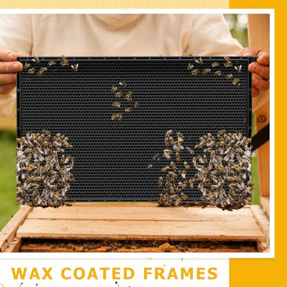 DoubleFill 10 Pack Plastic Beehive Frames and Wax Foundations All in One Bee Hive Frames with Beeswax Coated Foundations Bee Frames Beekeeping Frames for Deep Brood Bee Hives 9 1/8 Inches(Black) - color: Black