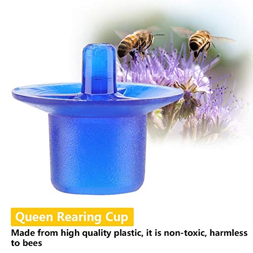 FTVOGUE Queen Rearing Cell Cups, Durable Egg Laying Support for Beekeeping Plastic Blue 19 x 16mm 50pcs