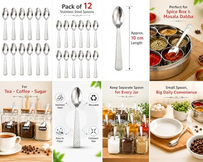 Stainless Steel TEA/COFFE AND Spice Box Spoons Set of 12 (Silver) (Small Tea spoon) - size: Small Tea spoon