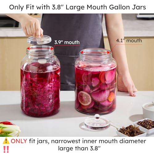 Jillmo Large Fermentation Weights for 1 Gallon Wide Mouth Jars, Heavy Glass Fermenting Weights with Easy Grip Handle, Keeps Vegetables Under Brine for Sauerkraut, Kimchi & Pickles, Pack of 4 - size: Plain - 4 Pack