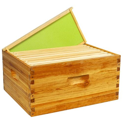 10 Frame Deep Brood Box Langstroth Bee Hive Box Dipped in Beeswax, Sections of Wood for Beehives Include Beehive Frames and Wax Foundations, 10 Pack(Green Unassembled) | Unassembled 100% Dipped in Beeswax Thickness 20 Mm - size: Deep 10pack