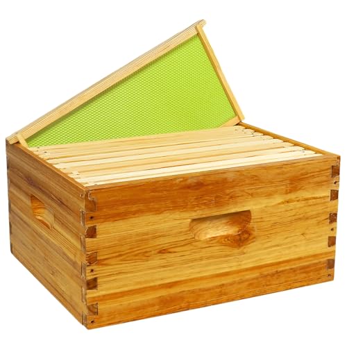 10 Frame Deep Brood Box Langstroth Bee Hive Box Dipped in Beeswax, Sections of Wood for Beehives Include Beehive Frames and Wax Foundations, 10 Pack(Green Unassembled) | Unassembled 100% Dipped in Beeswax Thickness 20 Mm - size: Deep 10pack