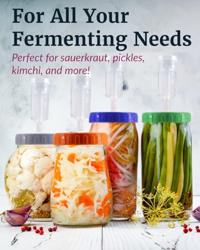Elementi Fermentation Weights Kit - Set of 2 Glass Fermenting Weights and Mason Jar Fermentation Lids for Wide Mouth Mason Jars - Sauerkraut and Pickling Kit - style: Kit - Set of 2 Weights & Grey Lids