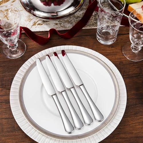 Royalrose Premium Aria 4-Piece 9.6 Inch Silverware Knives (Dinner Knives) | Stainless Steel Table Knives, Silverware Knives, Butter Knives, Mirror Finish, Dishwasher Safe, Ideal for Steak & Butter