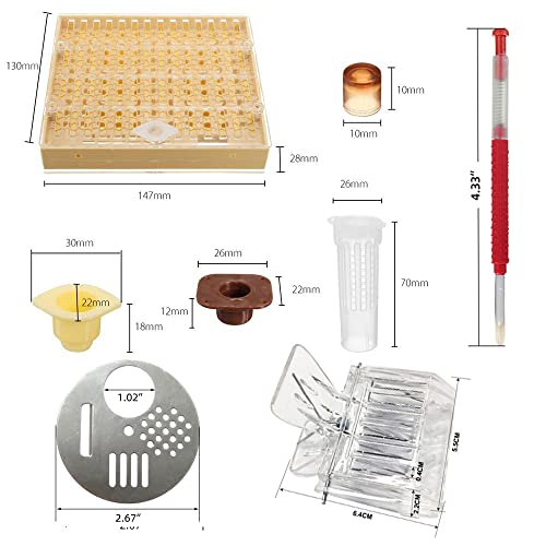Plastic Queen Rearing System Beekeeping Bee Grafting Kit Royal Jelly Squeegee Pen Cultivating Box Cell Cups Queen Bee Cage Catcher Clips Beekeeping Grafting Tool Supplies