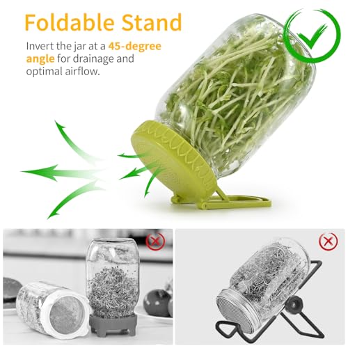 Happyiren Sprouting Lid Kit for Wide Mouth Mason Jars, 2-Pack (3.38"/86mm) | BPA-Free; One-Piece Sprouting Lids with Built-In Stand, Seed Germination Jar Sprouter Lid, Fits Wide Mouth Jars - color: Green