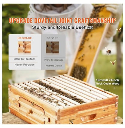 Bee Hive Medium Box Kit - Cedar Wood Langstroth Beehive with 10 Frames, Beeswax Coated, Acrylic Windows - Beginner & Pro Beekeepers