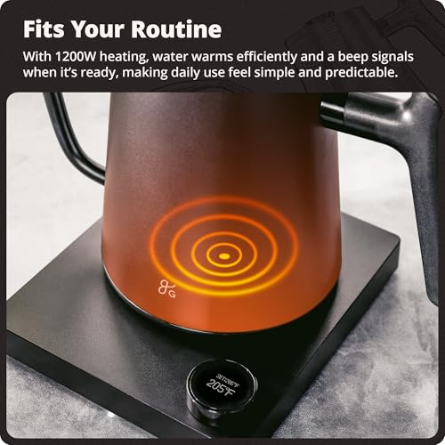 Greater Goods Electric Gooseneck Kettle, 1200W Stainless Steel with Precision Temperature Control, Fast Boil, BPA-Free, Ideal for Pour Over Coffee and Tea, 0.8L (Onyx Black) - color: Onyx Black