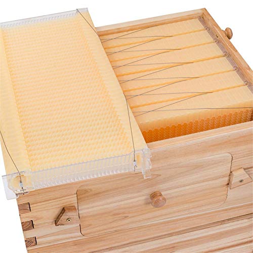 Auto Beehive Frame Comb - 7Pcs Automatic Wooden Beehive House, Auto Honey Hive Beehive Frames, Beekeeping Wooden House Beehive Boxes, Beehives and Supplies Starter Kit for Beekeepers