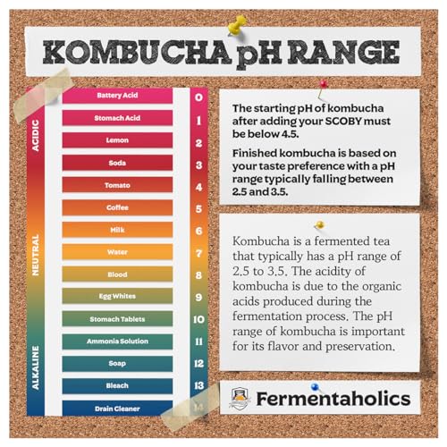 Fermentaholics Kombucha & Fermentation pH Test Strips – Instant Read pH Strips Dispenser for Brewing & Fermentation, pH Range 0–6 (pH Roll Dispenser) - size: pH Test Roll