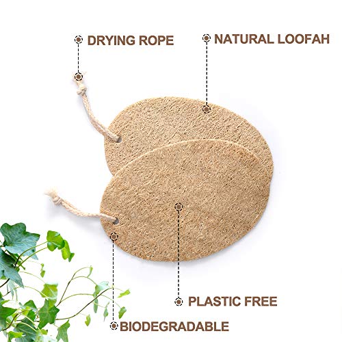 Plastic-Free Cleaning Brushes and Loofah Sponges