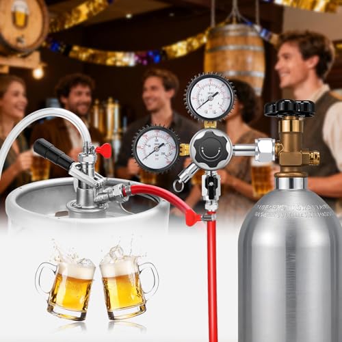 MRbrew 0-60PSI CGA-320 Keg CO2 Regulator with 5/16" Barbed Outlet | 0-3000 PSI Tank Pressure, Beer Regulator, Co2 Tank Pressure Regulator with Safety Pressure Relief Valve - size: One Output Barb - Mildly Carbonated