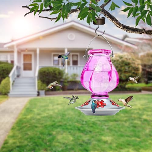 Hummingbird Feeder, BOLITE Glass Hummingbird Feeders for Outdoors Hanging, with Ant Moat and Five Feeding Ports, 22 Ounces, Leak Proof, Purple Bottle - color: Ruby Purple