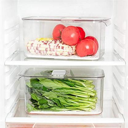 SANNO Produce Saver Refrigerator Organizer Bins with Lids And Removable Drain Tray Food Storage Container Fridge Stackable Freezer Bins For Kitchen Produce Fruit Vegetable (Set of 2) - size: 12.4” x 6.4”x 5.7"+12.4” x 6.4”x 5.7"