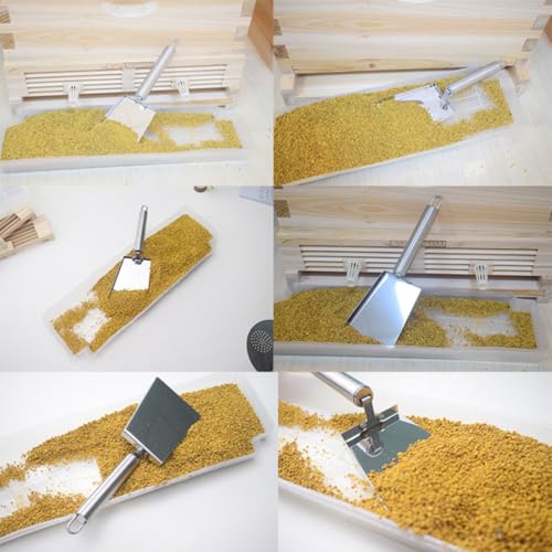 Yardwe Hive Scraper Shovel Convenient Storage Stainless Steel for Beekeeping for Efficient Cleaning, Sturdy Silver Honey Tool Bee Case Maintenance