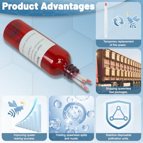 Temp Queen with QMP Queen Pheromone for Improve Queen Rearing Success, Temporary Queen Replacement, Ship Queenless Packages, Holding Queenless Splits and Nuclei, 5pcs