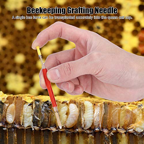Bee Grafting Tool, 25Pcs Queen Rearing Tool Apiculture Equipment Beekeeping Grafting Tool, Bee Queen Rearing Tool Detachable Beekeeping Supplies for Home