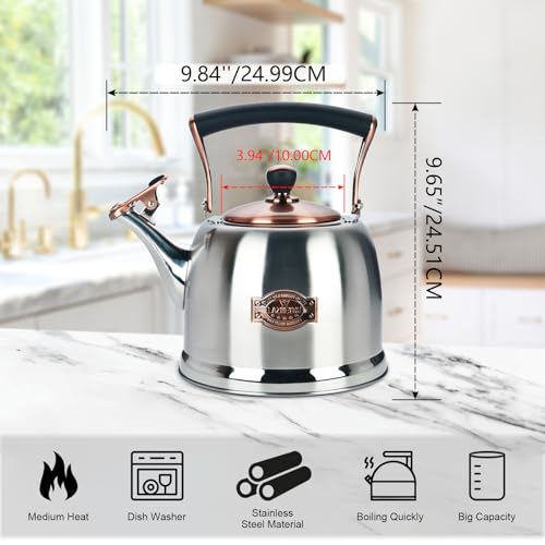Tea Kettle Stainless Steel Teapot, Stainless Steel Teakettle for Stove Top with Heat Proof Ergonomic Handle 3.0 Quart - color: Silver, size: 3 Quarts