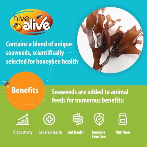 HIVE ALIVE Fondant Bee Food Supplement – Easy to Use Feed Enhancer Prevents Starvation During Overwintering – HiveAlive Feeding Program - Single - size: 1 Count (Pack of 1)