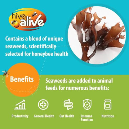 HIVE ALIVE Fondant Bee Food Supplement – Easy to Use Feed Enhancer Prevents Starvation During Overwintering – HiveAlive Feeding Program - Single - size: 1 Count (Pack of 1)