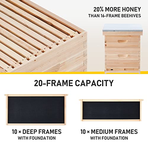 CREWORKS Bee Hive Boxes 10 Frame Langstroth Beehive, Bee Keeping Starter Kit Includes 1 Super Bee Box & 1 Bee Brood Box with Beehive Frames and Foundation, 2 Layers Complete Bee Hive Kit - style: 2 Layer