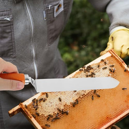 DOITOOL Uncapping Knife Random Color Beekeeping Stainless Steel and Wood Double Flat Cut Honey Scraper Tool Easy to Operate for Hive Honey Extraction Beekeeper Gadget