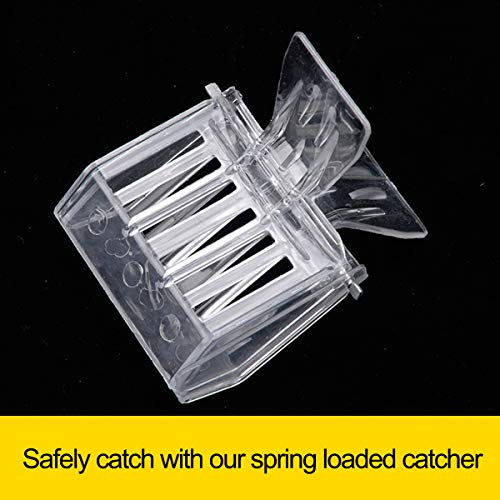 15 Pcs Queen Bee Cage Catcher Clip Transparent Plastic Beekeeping Tools kit