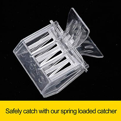 15 Pcs Queen Bee Cage Catcher Clip Transparent Plastic Beekeeping Tools kit