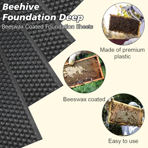 BeeCastle Black Beehive Beeswax Coated Foundation Sheet,Waxed Foundation Sheet, 8-1/2-Inch Deep Foundation for Beehive Deep Frames - color: Black, size: 8-1/2-Inch