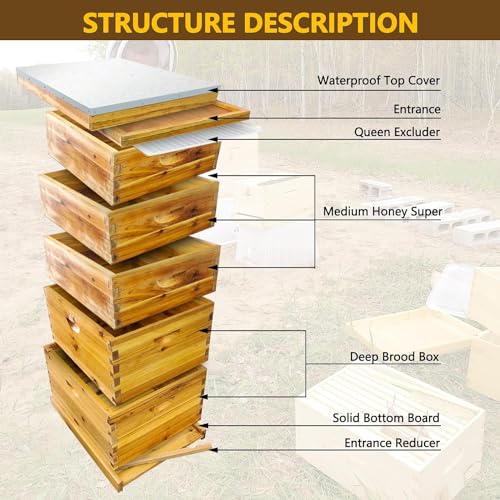 5-Layer Bee Hive, Beehive Kit Langstroth Bee Hive Coated with 100% Beeswax Includes 2 Deep Bee Boxes, 3 Medium Bee Hive, NO Frame