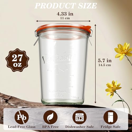 Freshmage Canning Jars 27 oz 2 Pack, Sourdough Starter Jars with 2 Lids Per Jar (Glass Sealing Lid & Plastic Lid), 800ML Wide Mouth Airtight Glass Storage Containers for Pickles, Yogurt, Pasta, Cereal