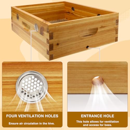 Bee Hive Winter Quilt Box Beeswaxed Coated for 8 Frame Langstroth Bee Hive, Assembled Quilt Box for Bees Winter Beekeeping Supplies