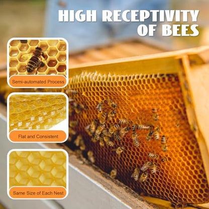 30 Pack Beeswax Bee Hive Foundation, Deep Cell Wax Foundation Sheets for Beekeeping, Natural Beeswax Comb Base for Honey Bee Hive Frames, Beekeeping Supplies for Honey Production, 7.68" x 16.34"
