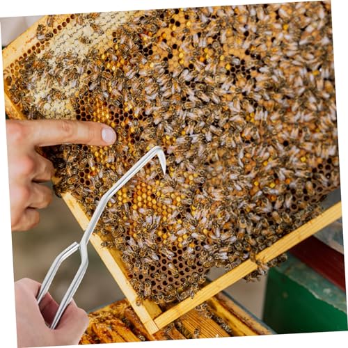 2pcs Beekeeping Tool Beehive Cleaning Hooks Bee Box and Frame Care Beehive Cleaner for Safe Beekeeping