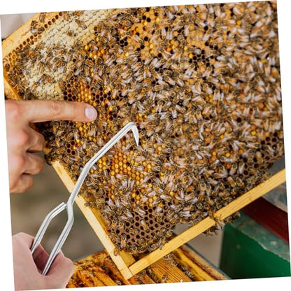 2pcs Beekeeping Tool Beehive Cleaning Hooks Bee Box and Frame Care Beehive Cleaner for Safe Beekeeping