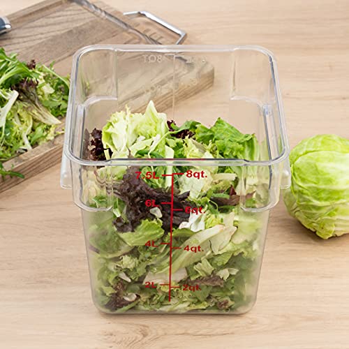 Met Lux 8 Quart Brine Bucket, 1 Square Marinating Container - With Volume Markers, Built-In Handle, Clear And Red Plastic Dough Rising Bucket, Freezer-Safe, Lid Sold Separately - size: 8 Quarts, style: 1 Count