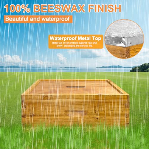5-Layer Langstroth Beehive Kit, 100% Beeswax Coated Bee Hive with 2 Deep Breeding Boxes and 3 Medium Super Boxes, 10-Frame Wooden Bee House with Waterproof Metal Top, No Frames