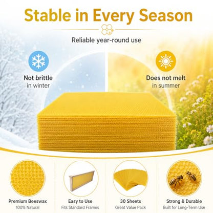 Bee Hive Foundation Sheets - 30 Pcs Pure Beeswax Comb Foundation 7.68 x 16.34 Inch, Beekeeping Supplies for Langstroth Hive Frames, Increases Honey Production & Colony Development