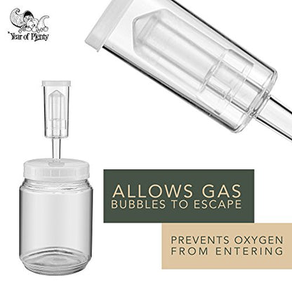 Year of Plenty BPA-Free Airlocks - Set of 6 - Hydrolocks for Fermenting, Brewing, Beer, Wine, Sauerkraut, Kimchi and Other Fermentation Projects (6) - size: 3 Piece